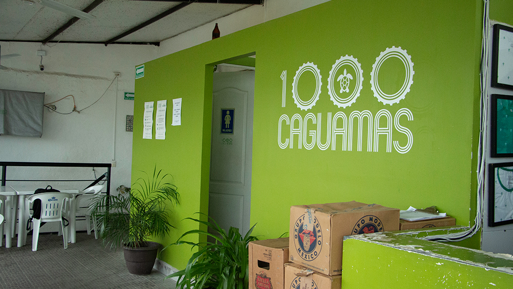 1000 Caguamas Puerto Vallarta Photo 4