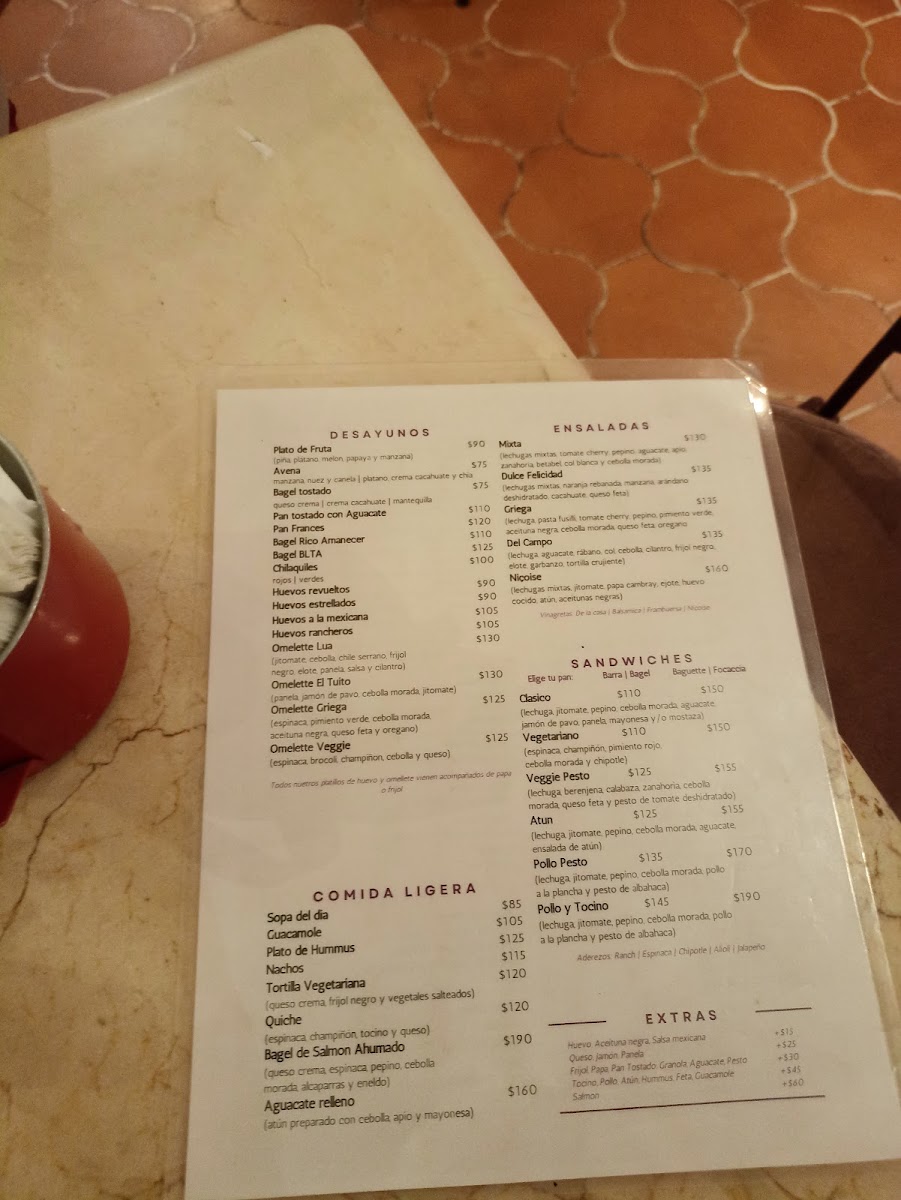 A Page In The Sun Menu Photo 4