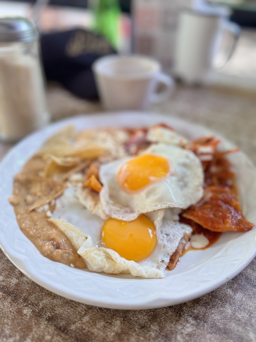 Cafe Finca Riveroll Photo 5