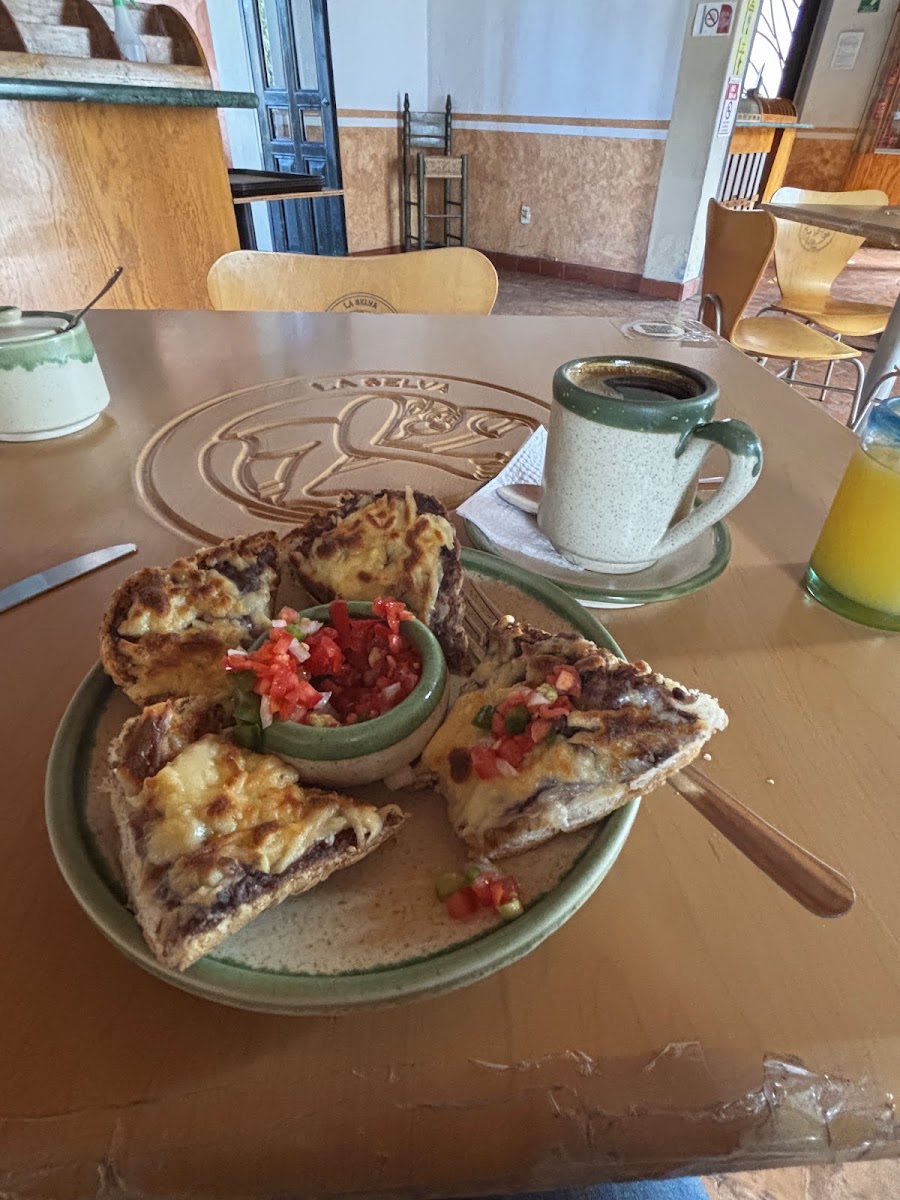 Café La Selva Photo 3