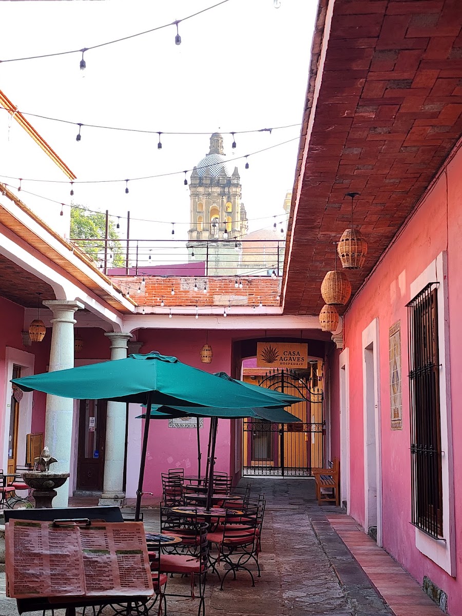 Cafe Los Cuiles Photo 4