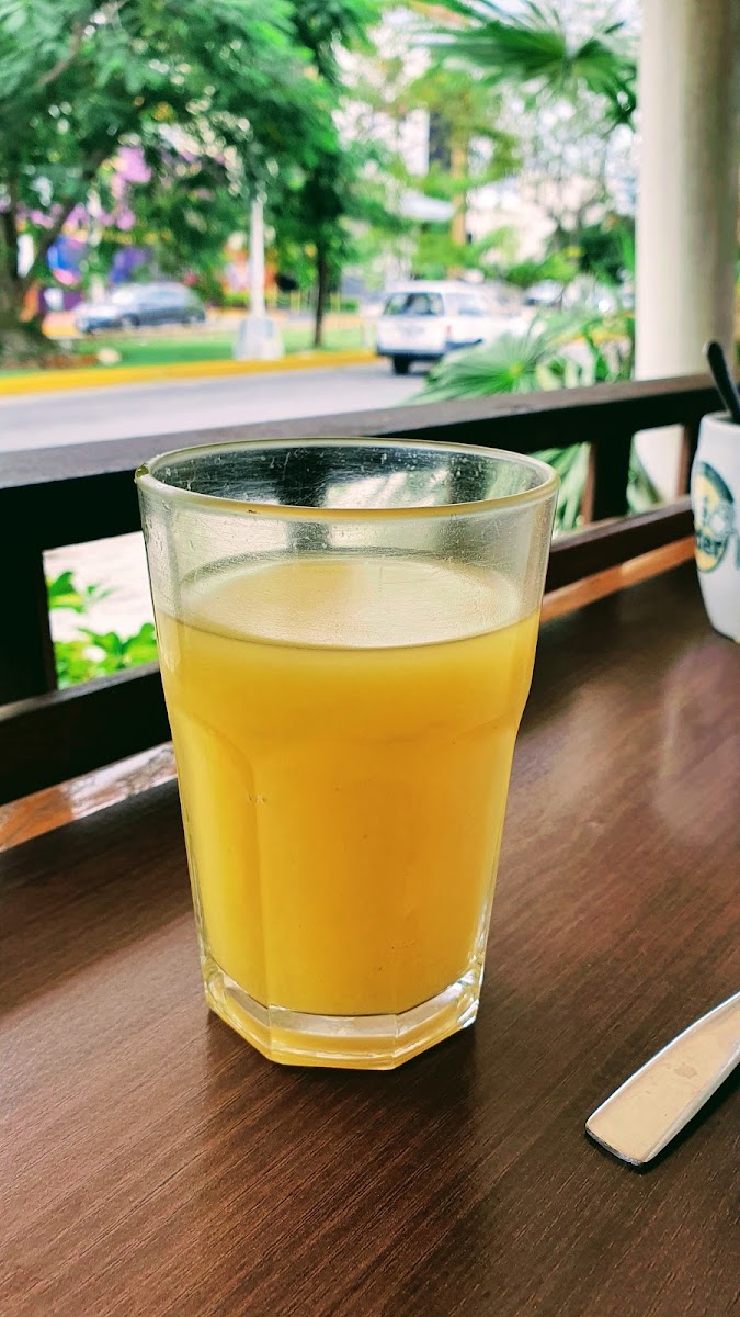 Cafe Nader Xpuhil Photo 10