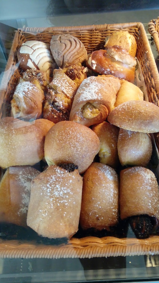 Cafe Nader Xpuhil Photo 6
