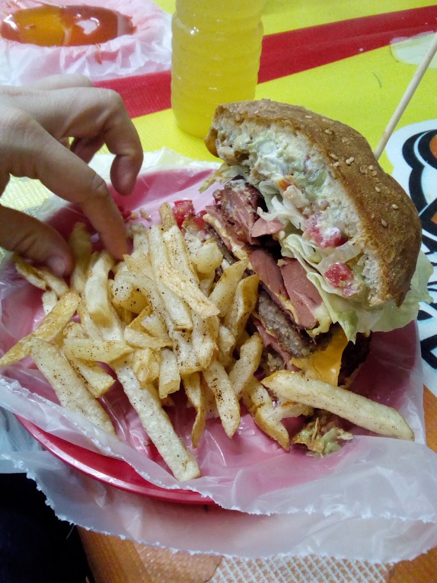 Camadogs Photo 5