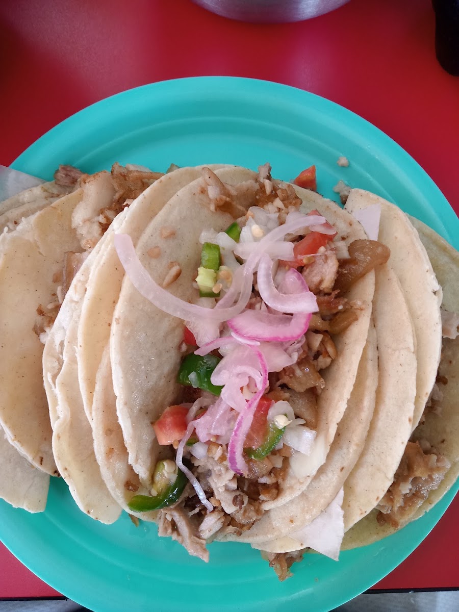 Carnitas Estilo Michoacan Photo 4