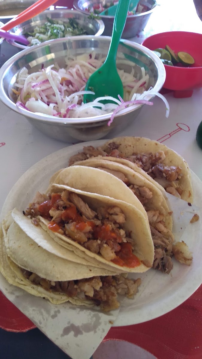 Carnitas Estilo Michoacan Photo 6