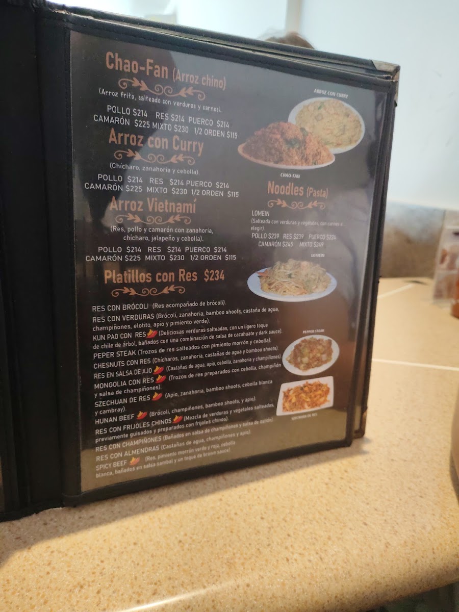 Chi-Palace Costa Azul Menu Photo 4