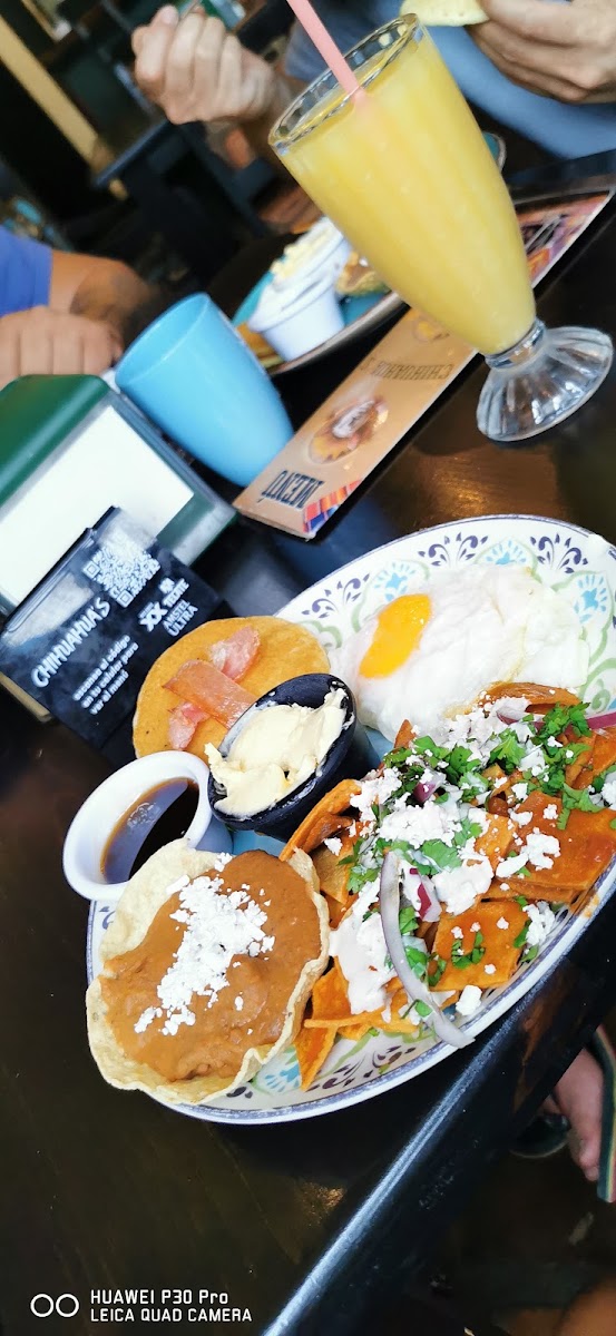 Chihuahua's Restaurant Photo 6