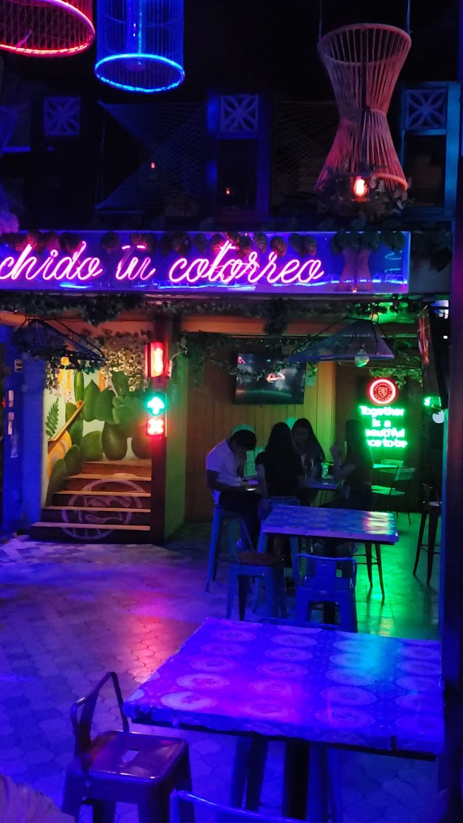 Cotorritos Mazatlan Photo 2
