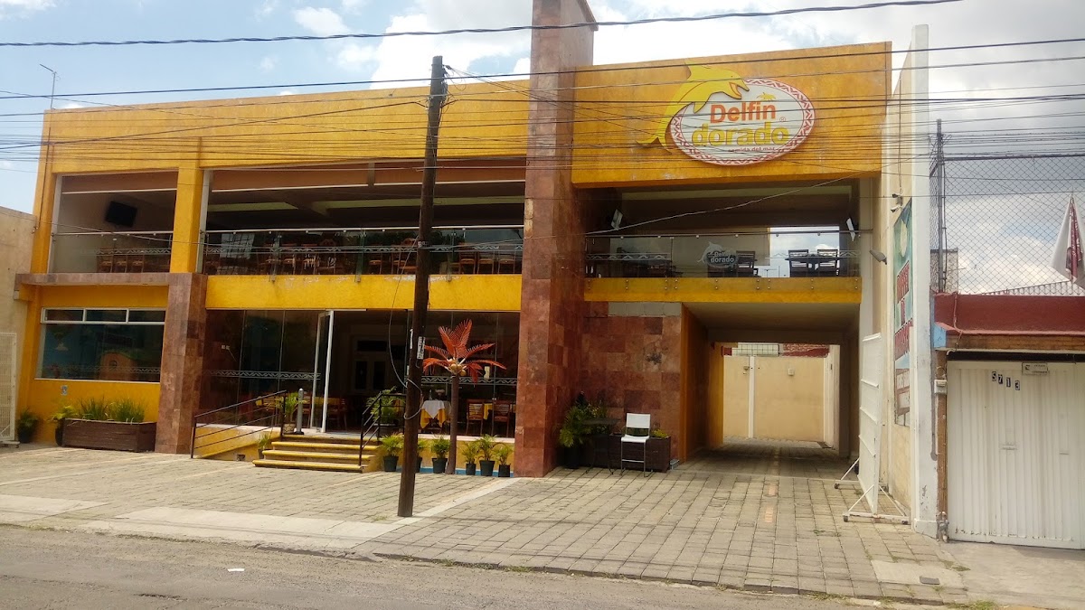 Delfin Dorado Suc. Puebla