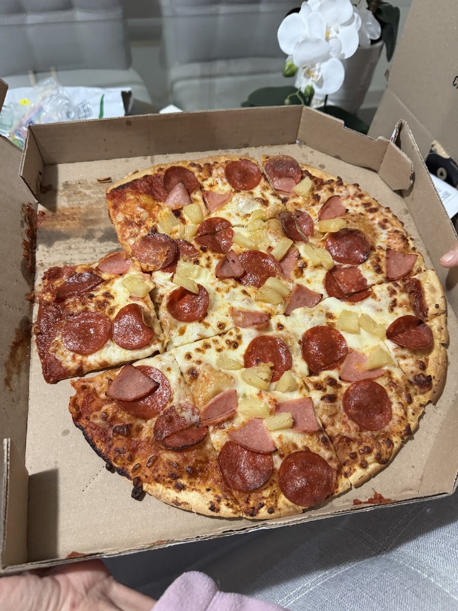 Domino's Mty Economax