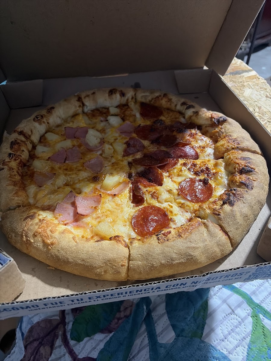 Domino's Mty Palmas Photo 2
