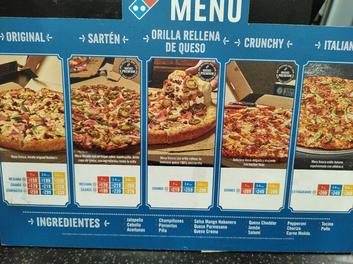 Domino's Mty Palmas Menu Photo 2