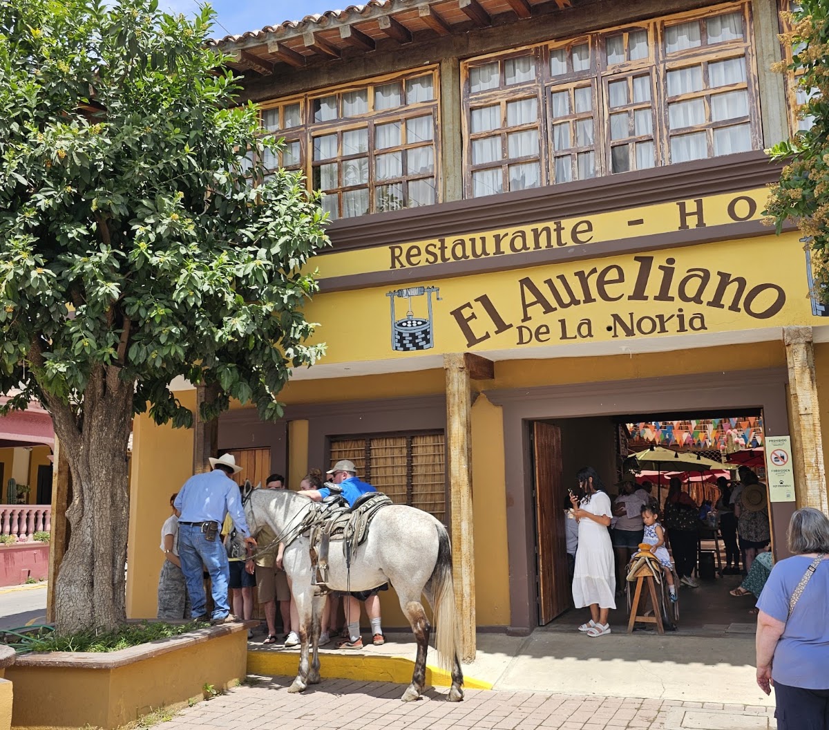 El Aureliano De La Noria
