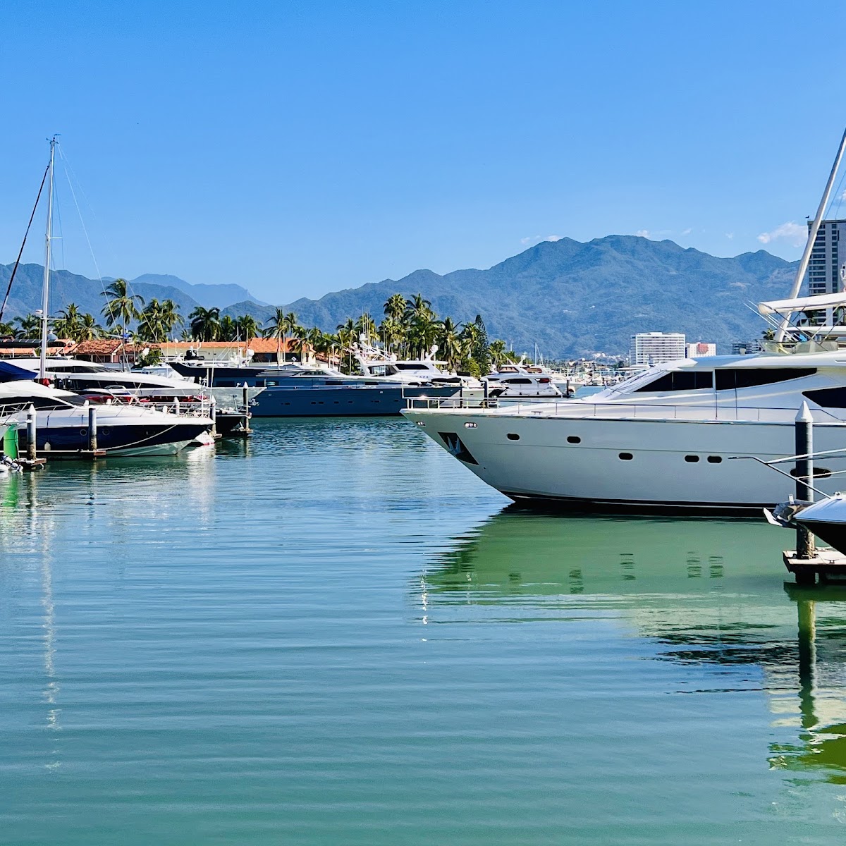 El Faro Marina Vallarta Photo 4