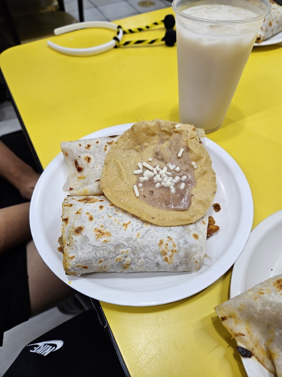 El Potro Loco Photo 3