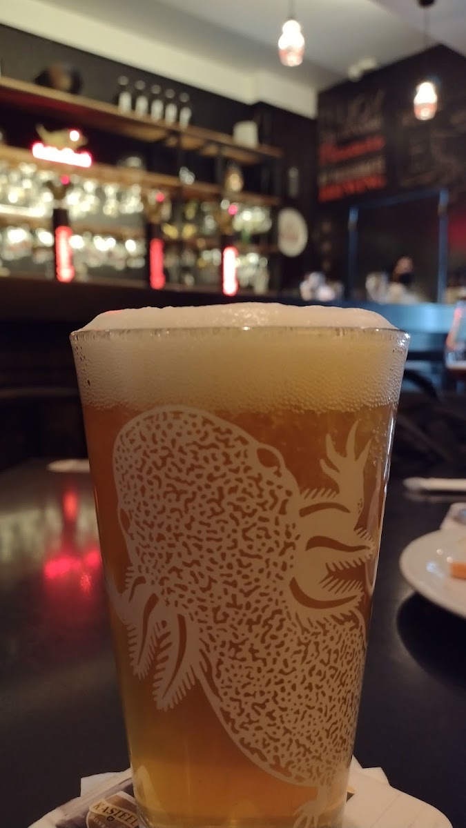 Gulden Draak Photo 6