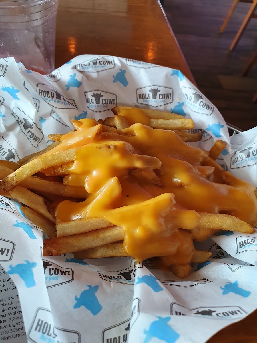 Holy Cow! Burger & Beer Joint Photo 8