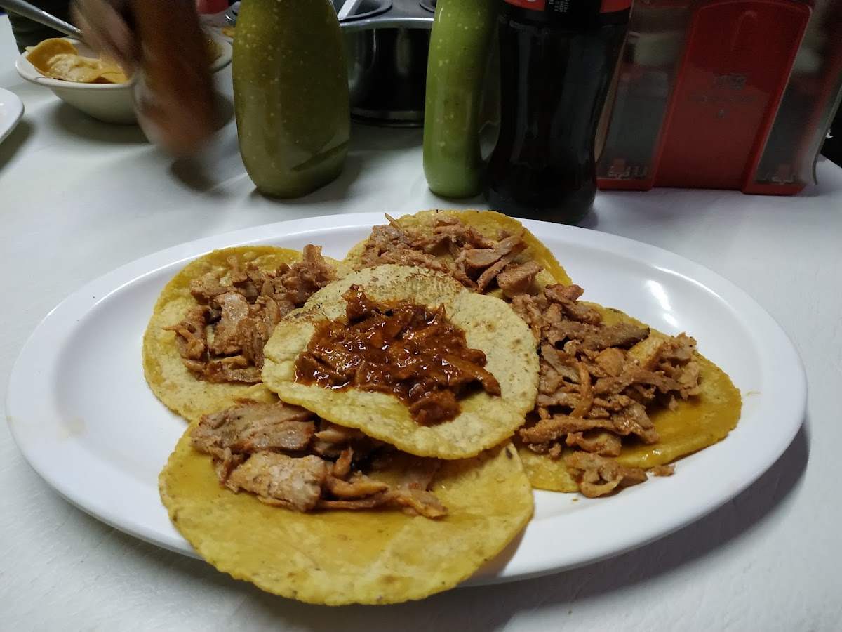 Hot Dogs Y Tacos Al Pastor El Gordo Photo 7