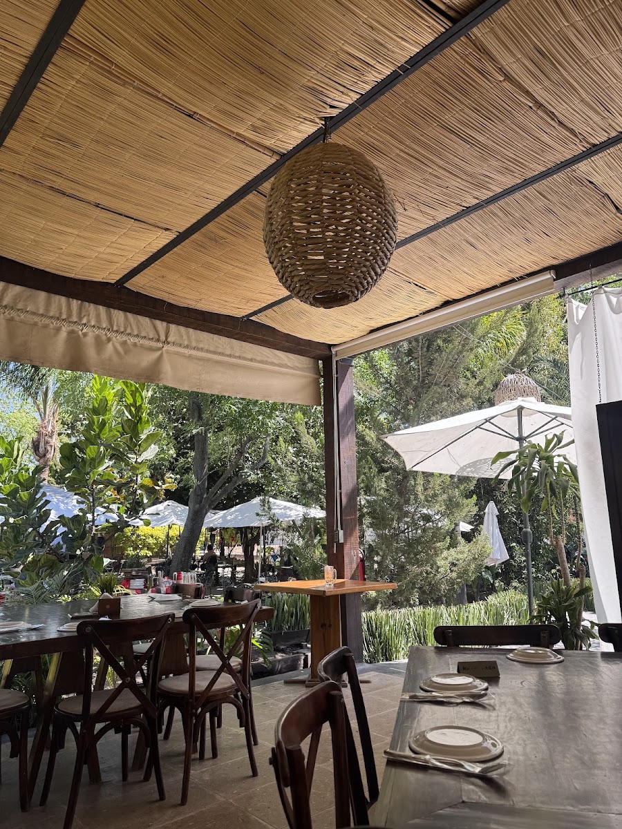 Ivanhoe Restaurante Photo 4