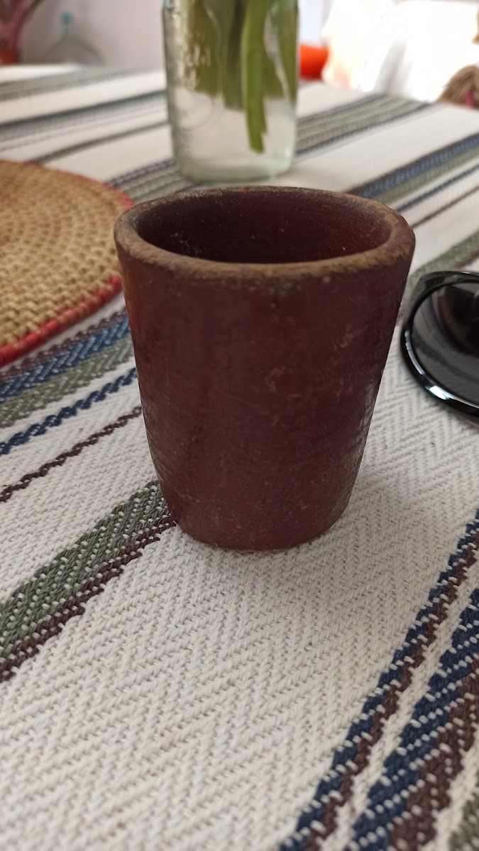 Koatlikue Pachamama Photo 10