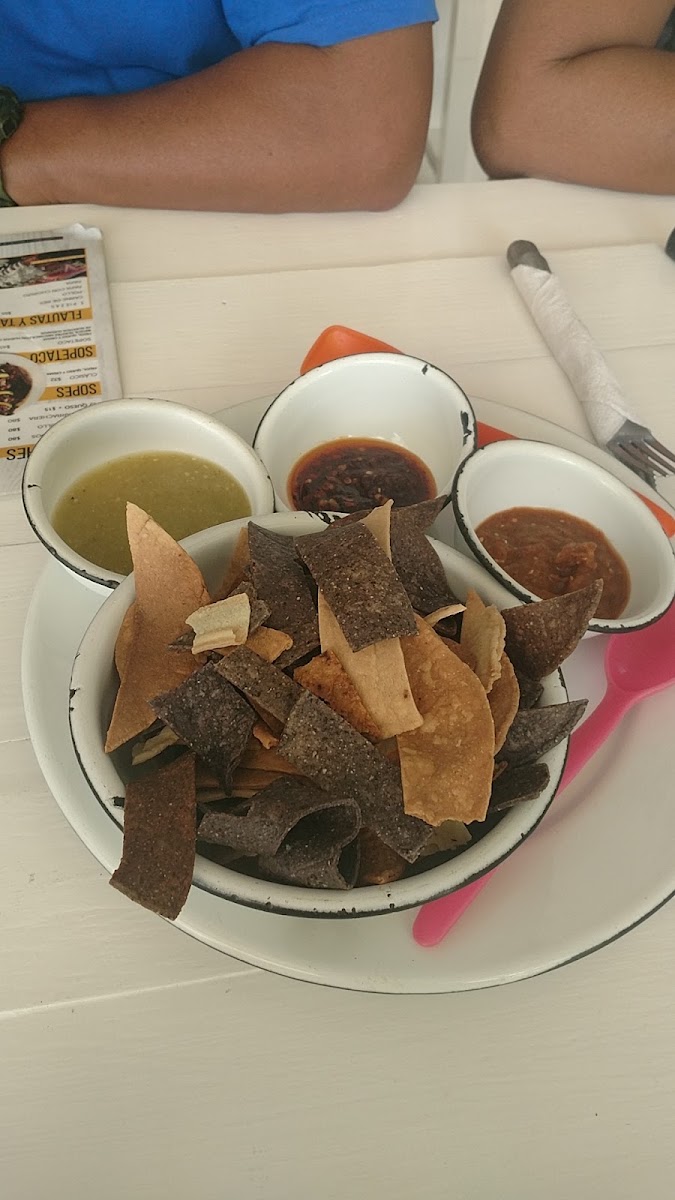 La Coyota Cancún - Cocina & Mixología Photo 6