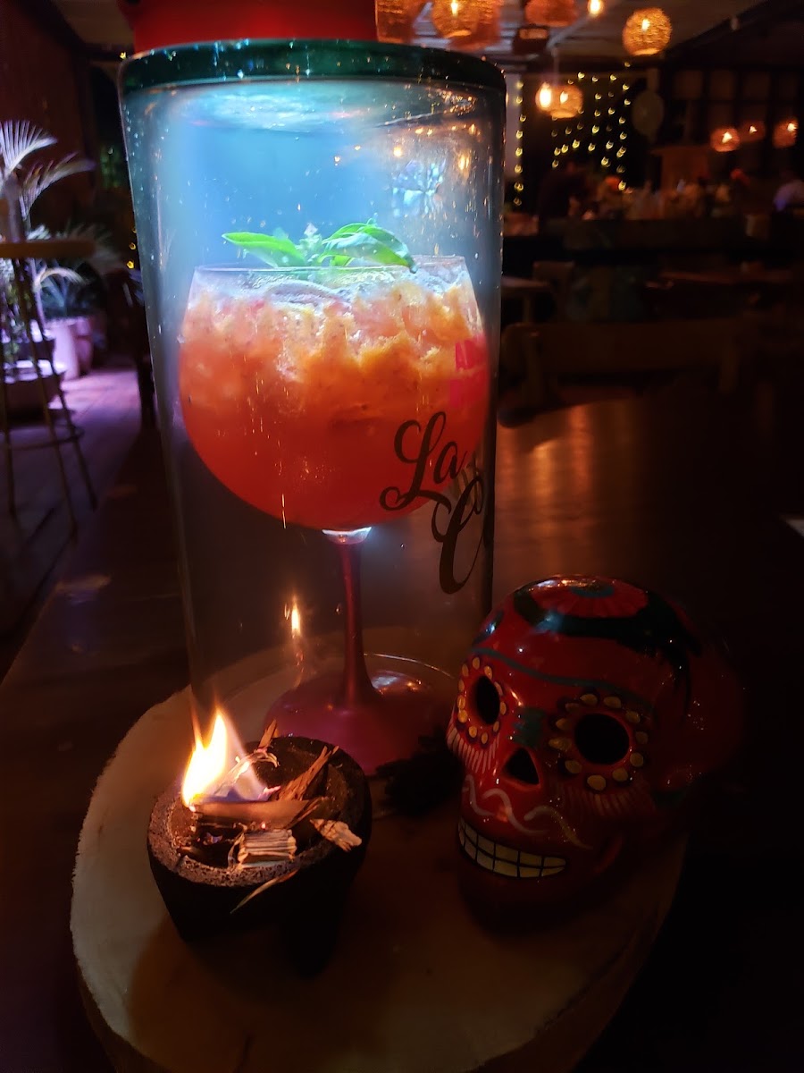 La Coyota Cancún - Cocina & Mixología Photo 9