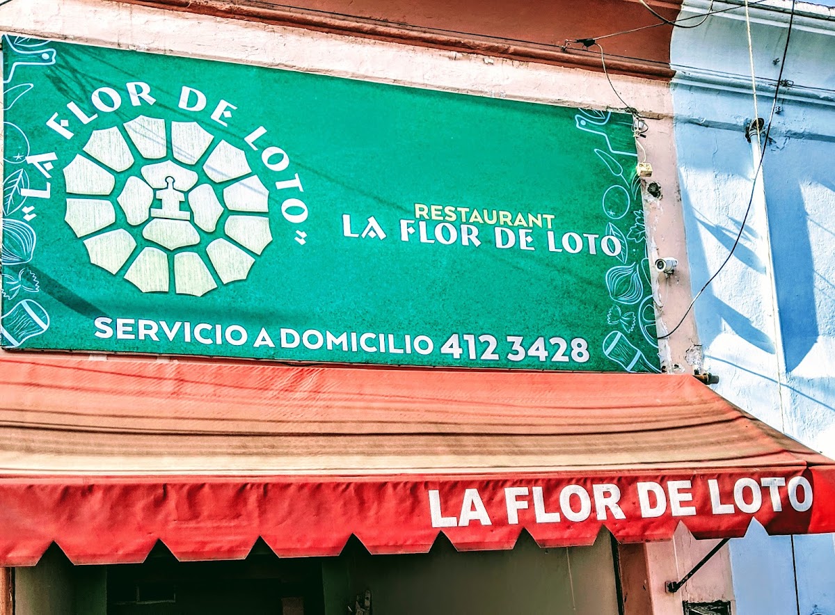La Flor De Loto