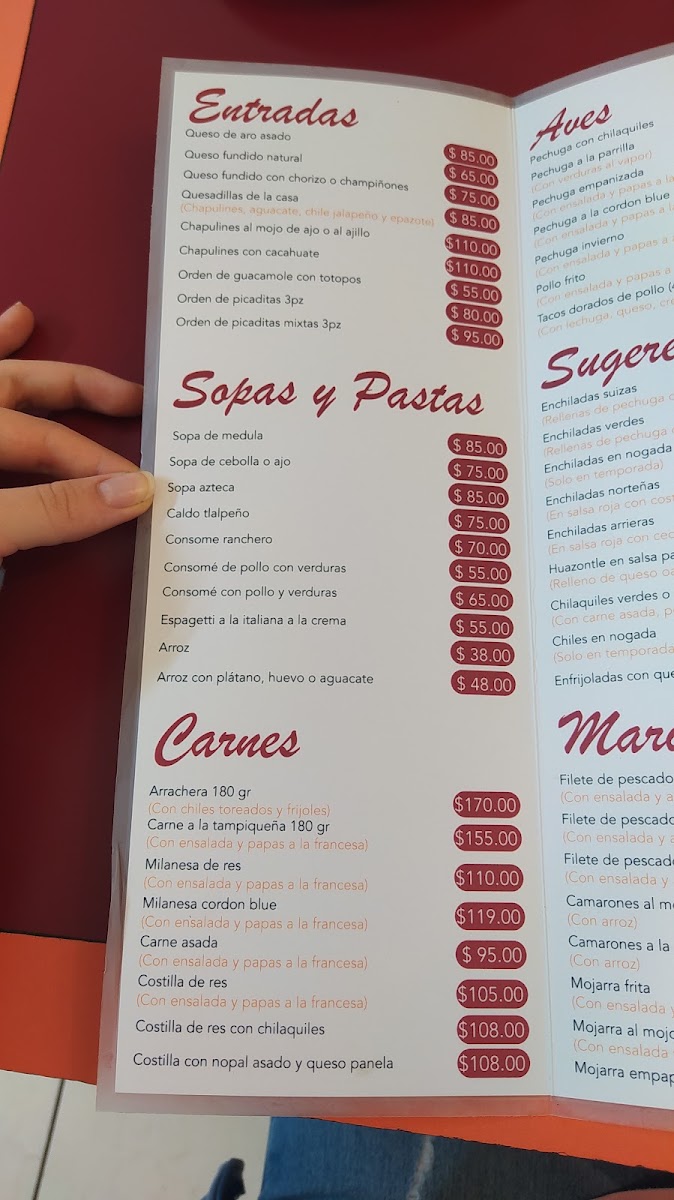 La Flor De Oaxaca Menu Photo 6