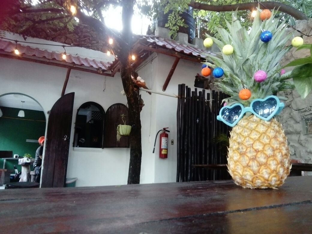 La Jungla de La Riviera. Comida Mexicana. Playa del Carmen
