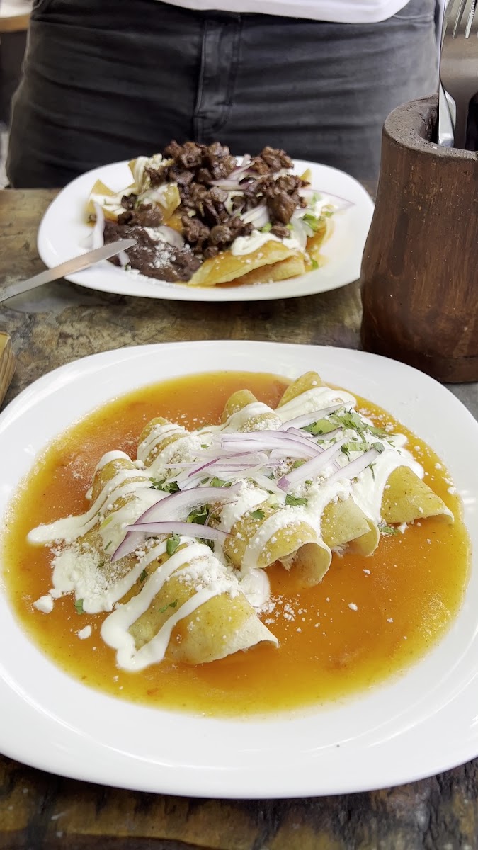 La Jungla de La Riviera. Comida Mexicana. Playa del Carmen Photo 2