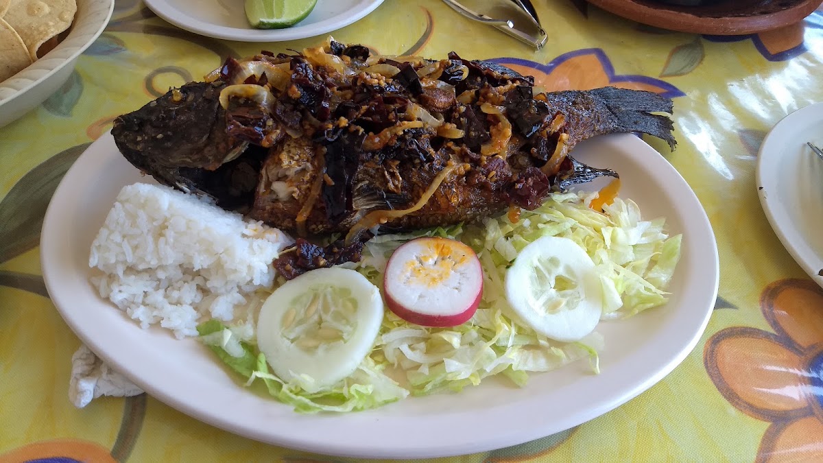 La Palapa De Tomas Photo 6