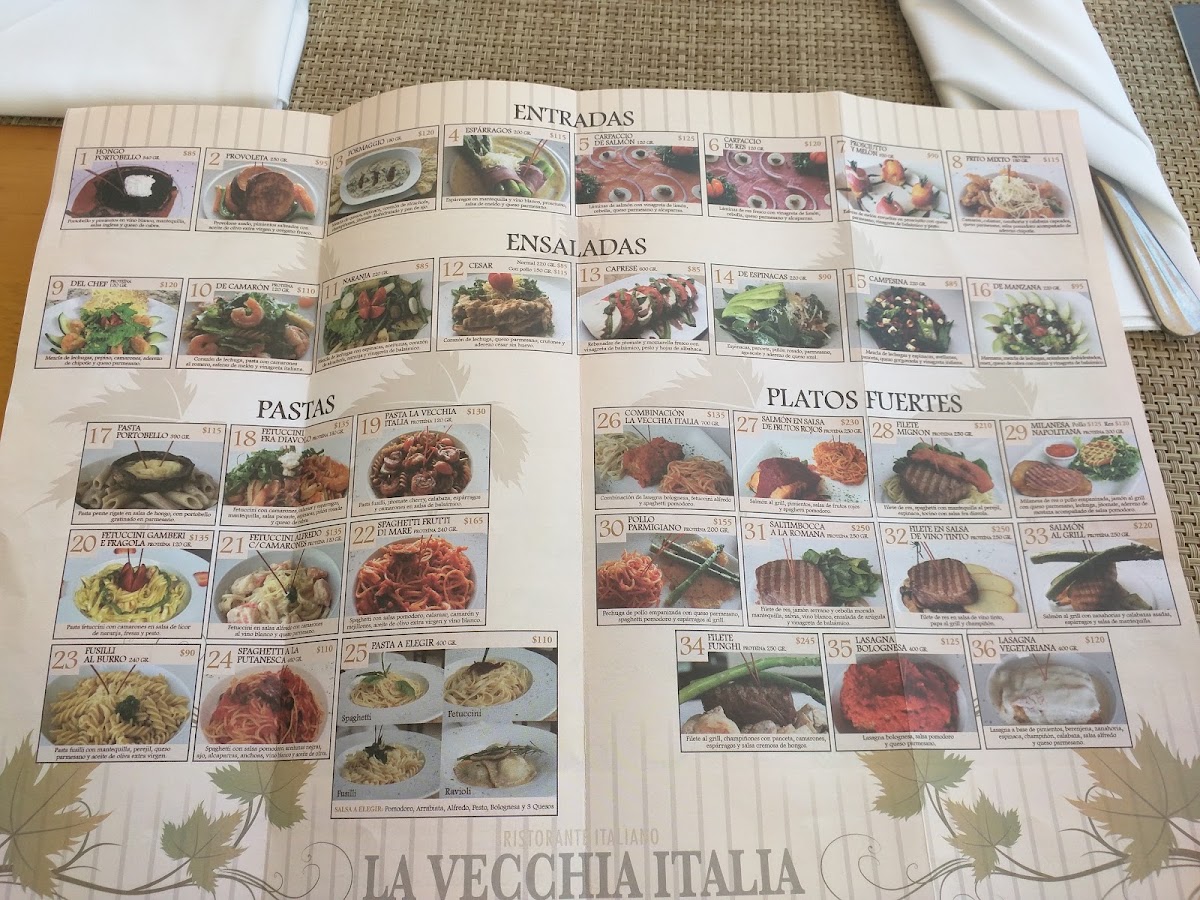 La Vecchia Italia Menu Photo 2