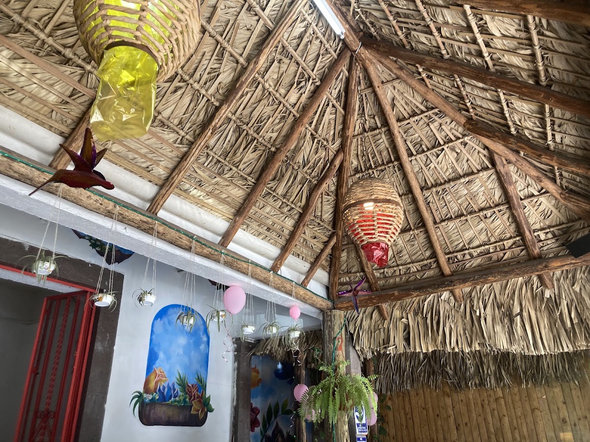 Las Delicias de Alicia tequis Photo 4
