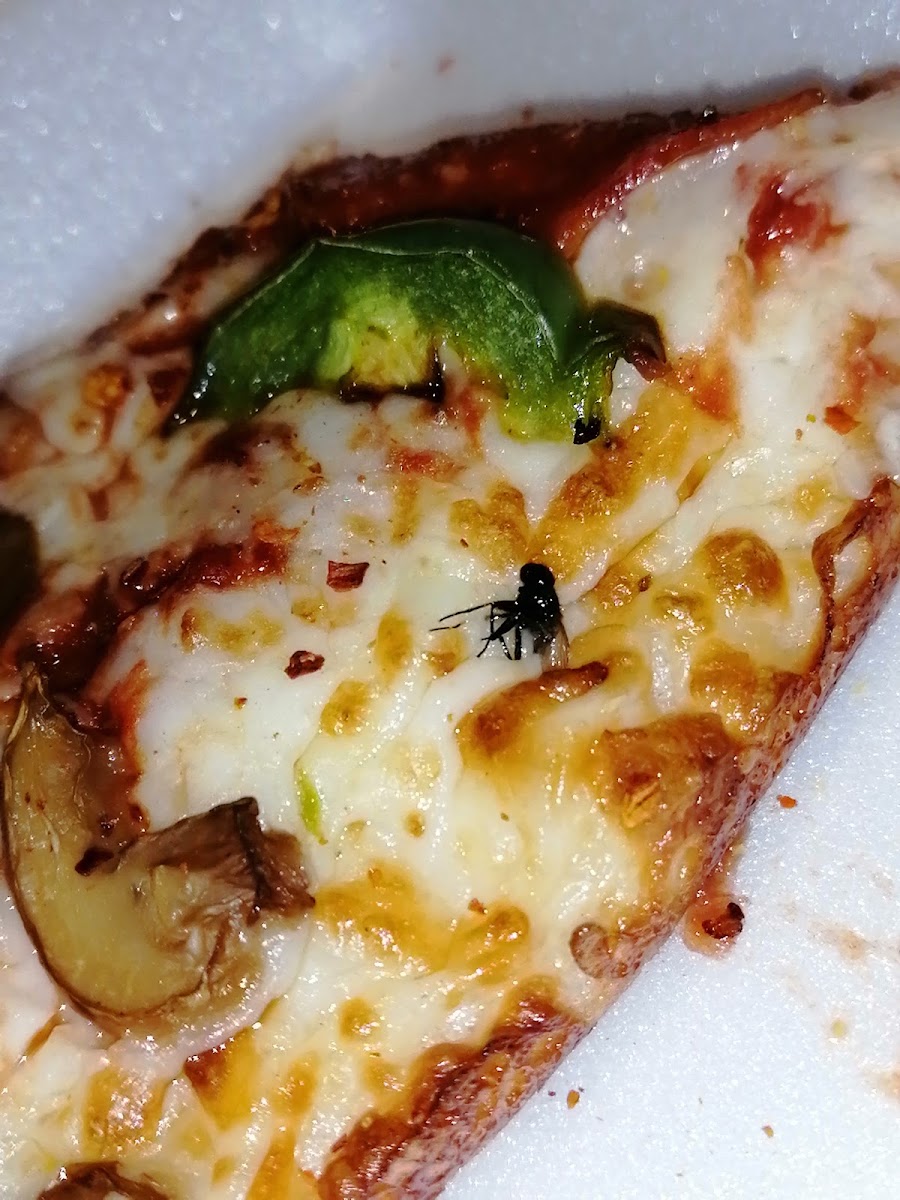 Little Caesars Pizza Photo 10