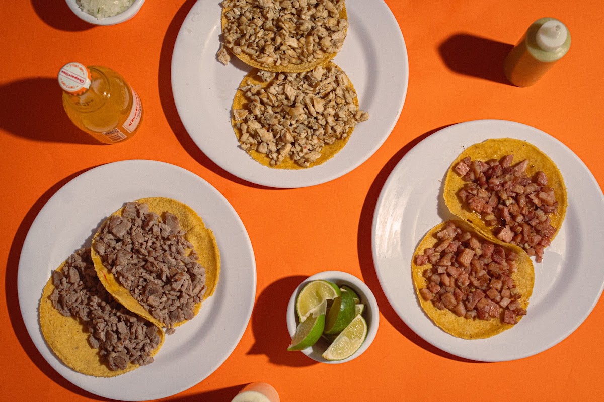 Los Chachalacos Photo 10