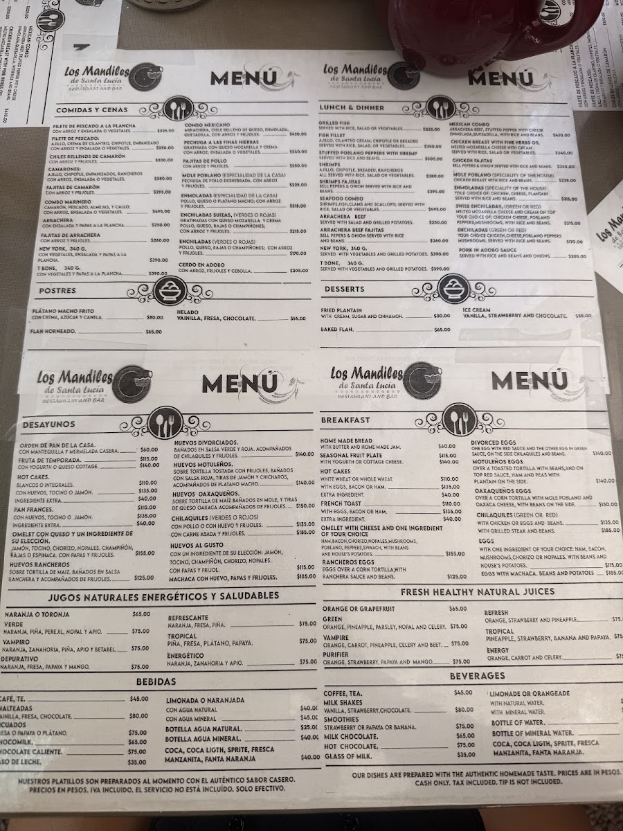 Los Mandiles de Santa Lucia Menu Photo 10