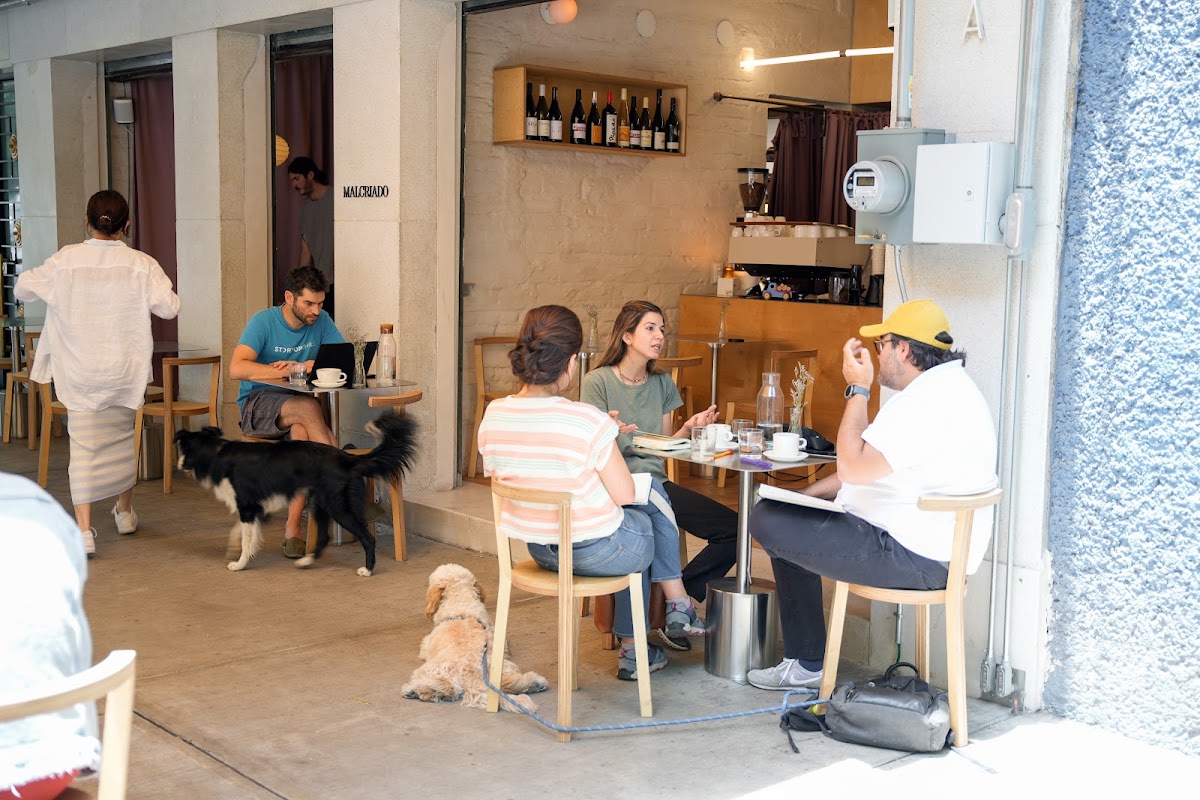 Malcriado ( Condesa )