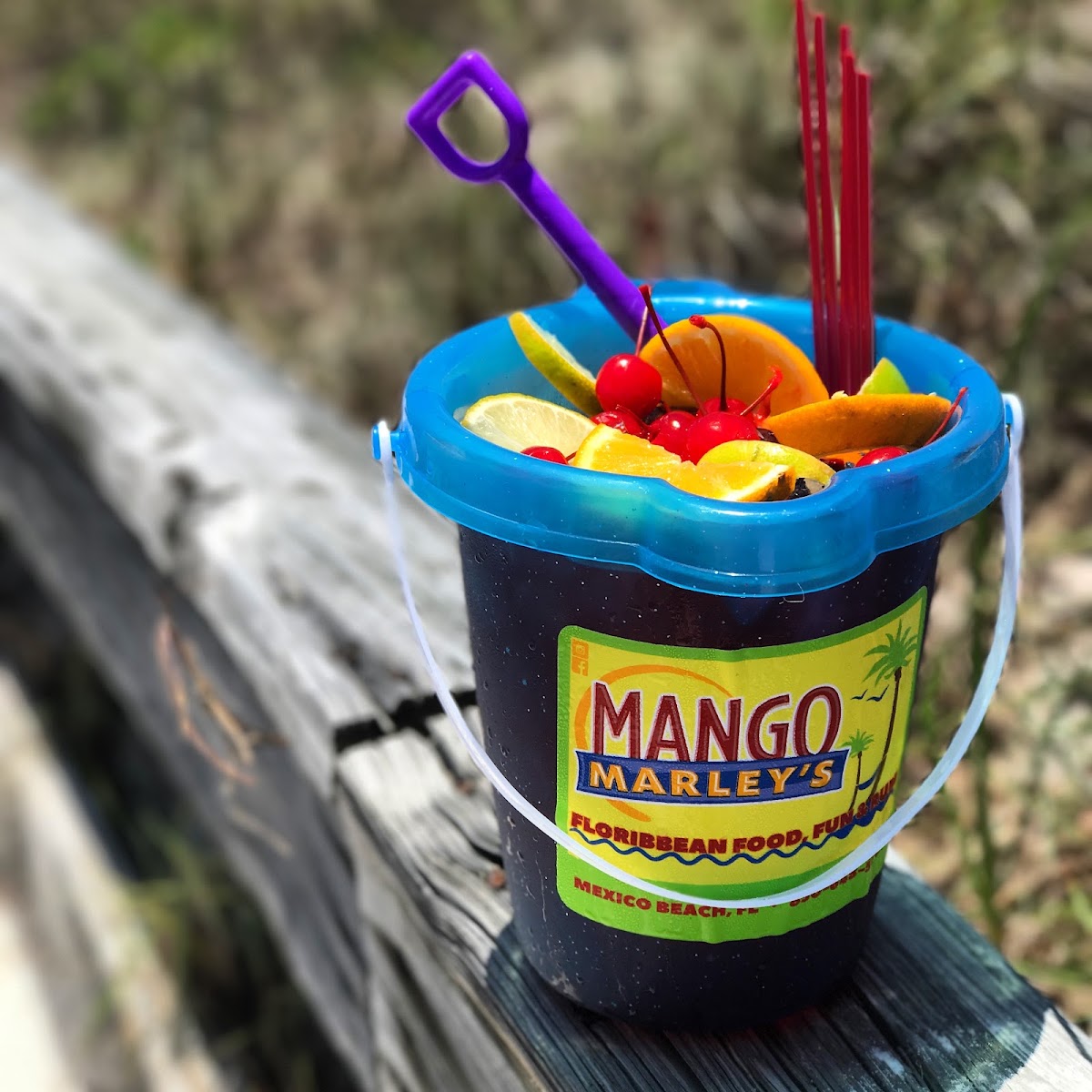 Mango Marley's Photo 3