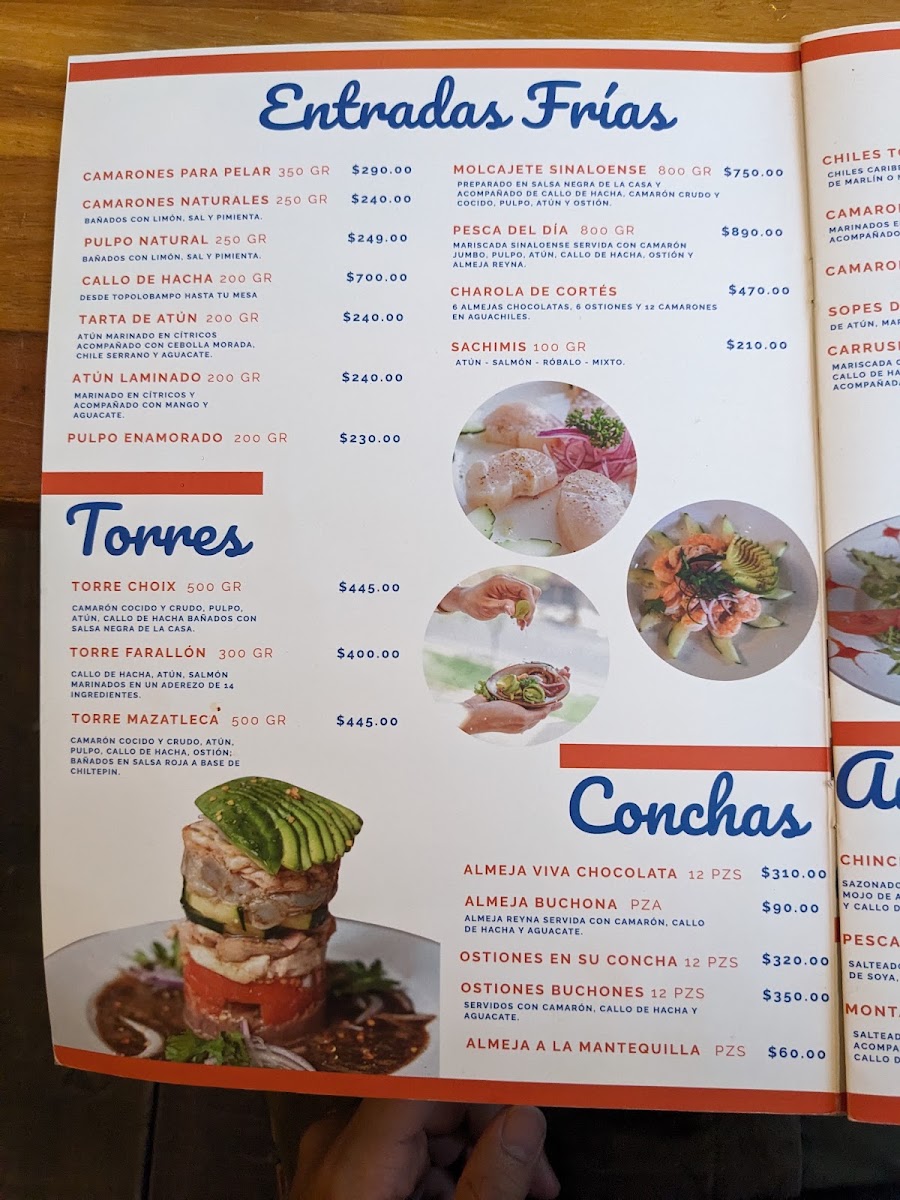 Maviri Condesa Photo 4