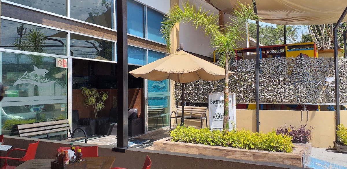Megalodon