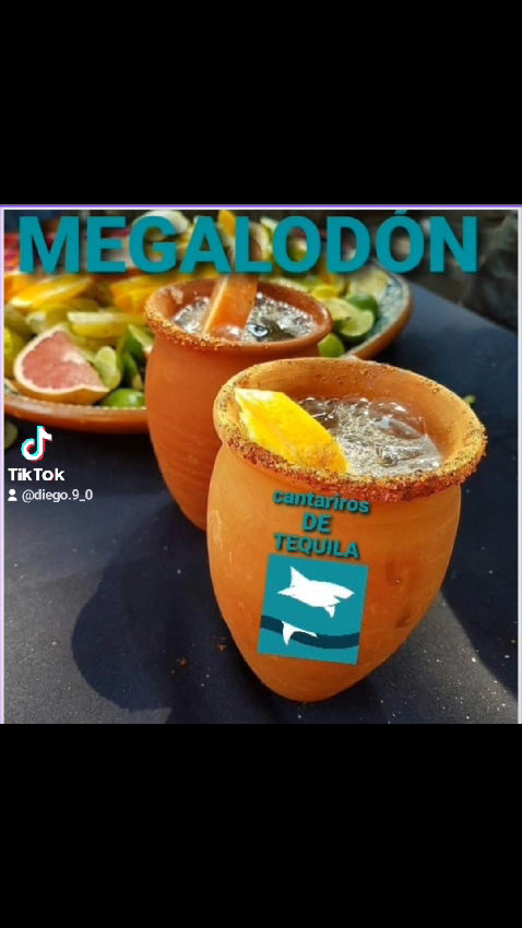 Megalodon Photo 2