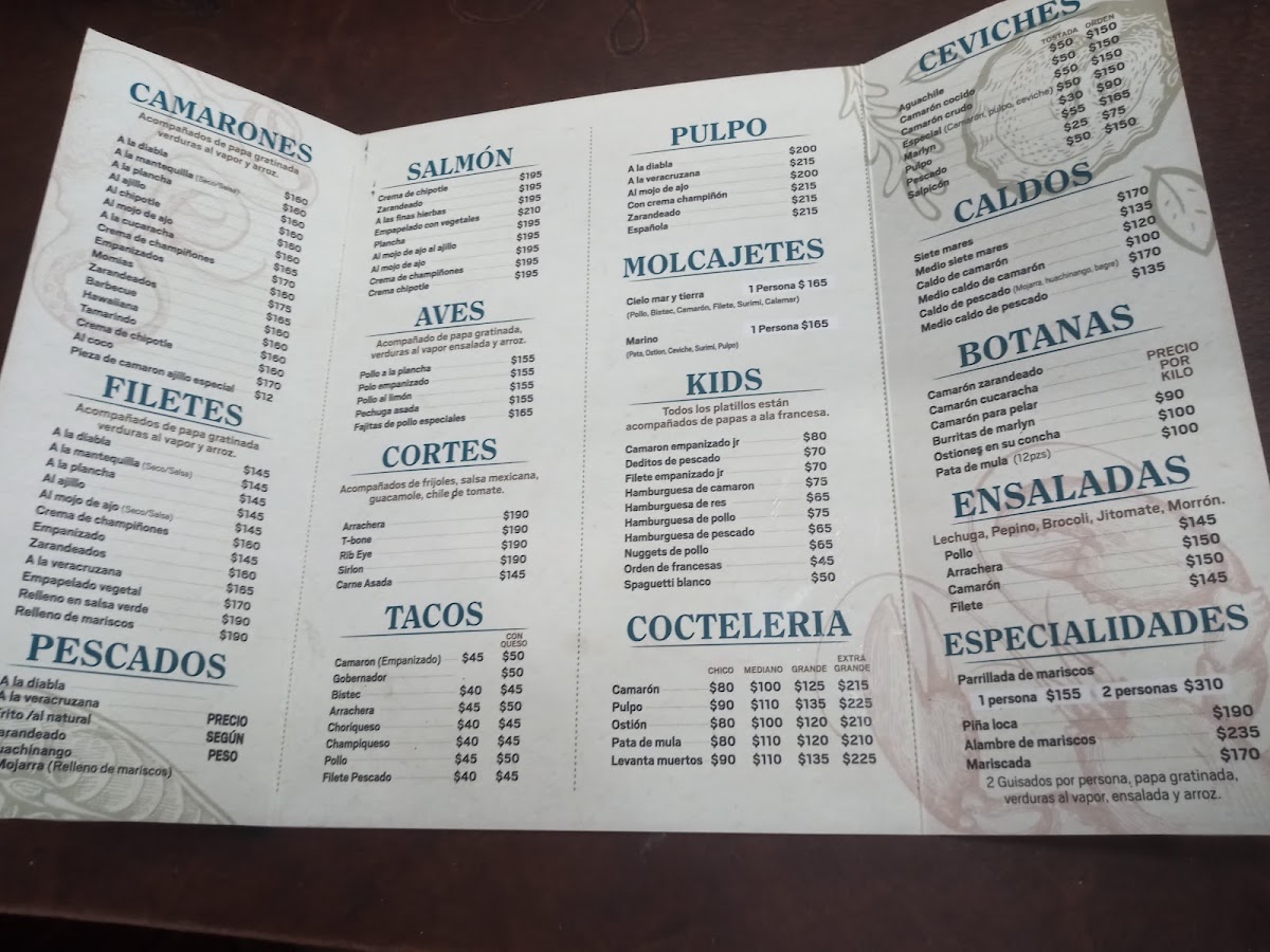 Mr Fish Atotonilco Menu