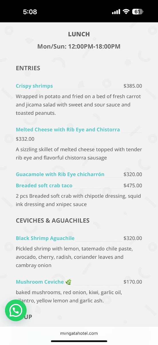 Mvngata Beach Club & Rooftop Menu Photo 6