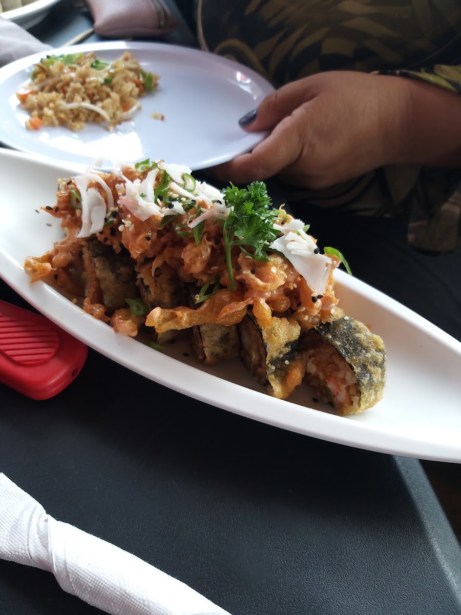 Oriental Chef Photo 8