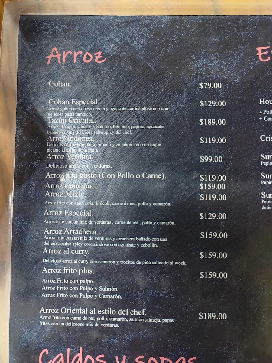 Oriental Chef Menu Photo 9