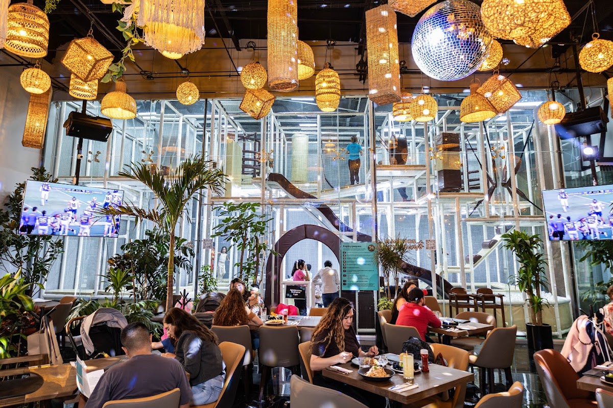 Pingo Grill Parque Tepeyac