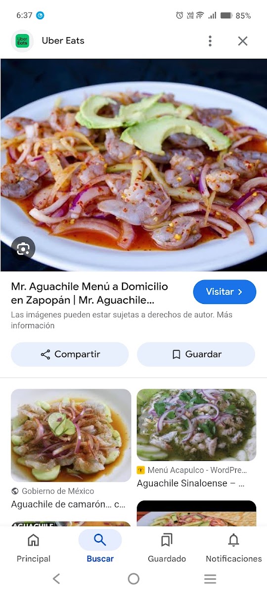 Pingo Grill Parque Tepeyac Menu Photo 3