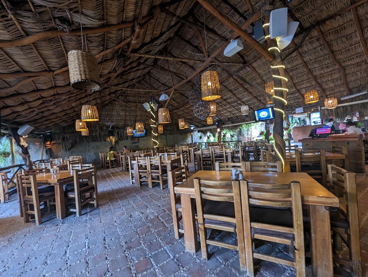 Ponderosa 37