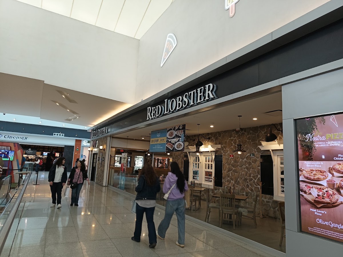 Red Lobster Photo 3